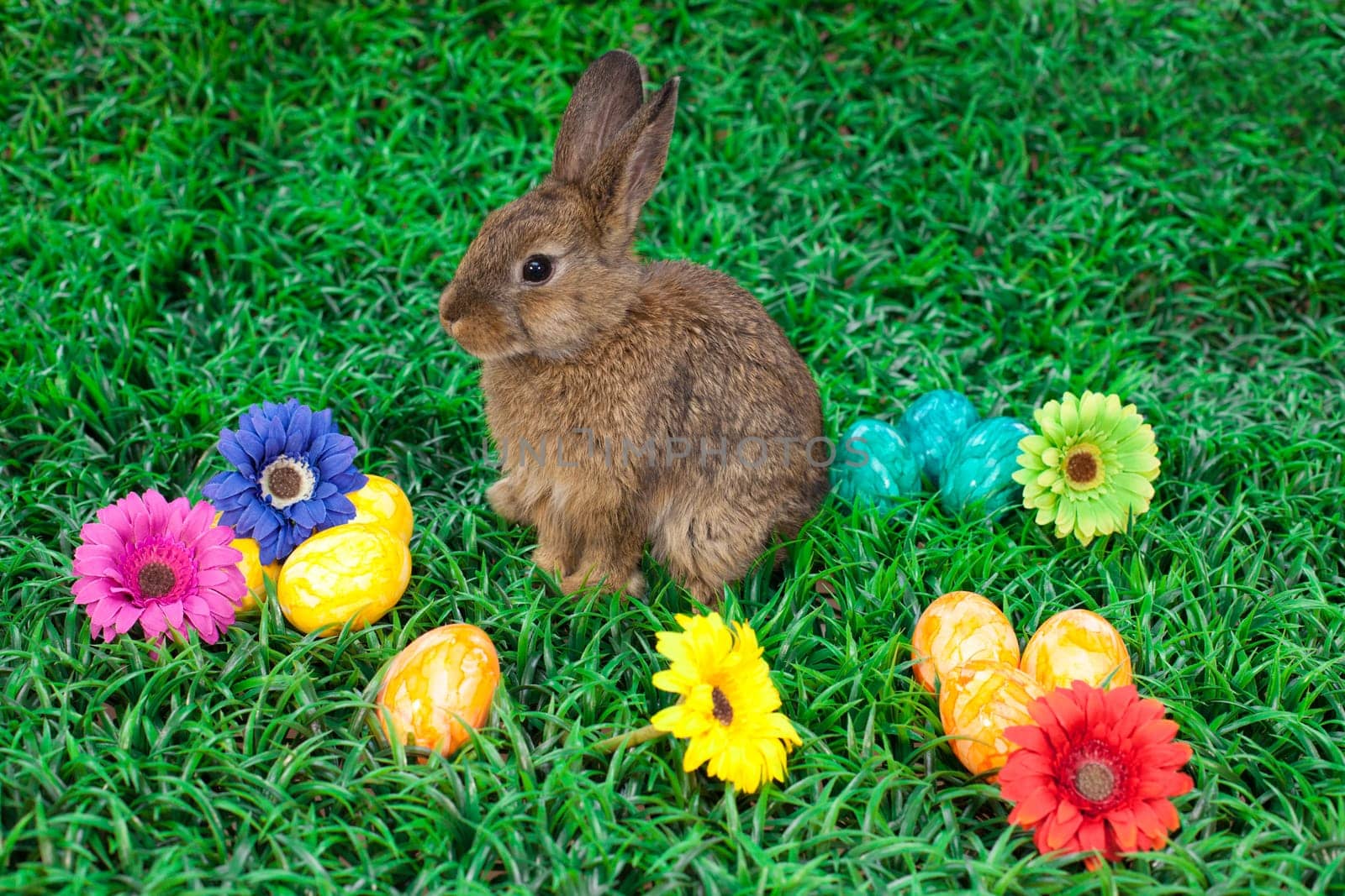 Easter eggs and little bunny