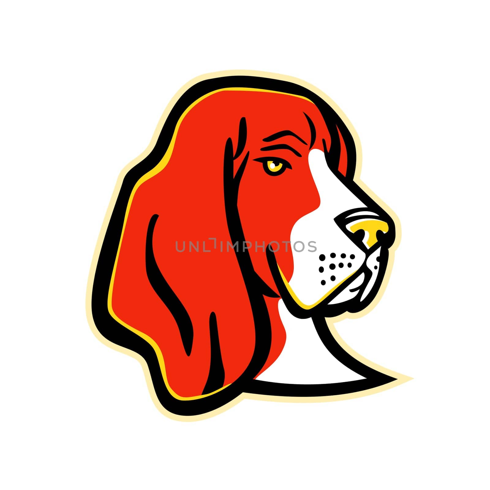 Mascot icon illustration of head of a Basset Hound, a short-legged dog breed of the scent hound family used for hunting, viewed from front on isolated background in retro style.