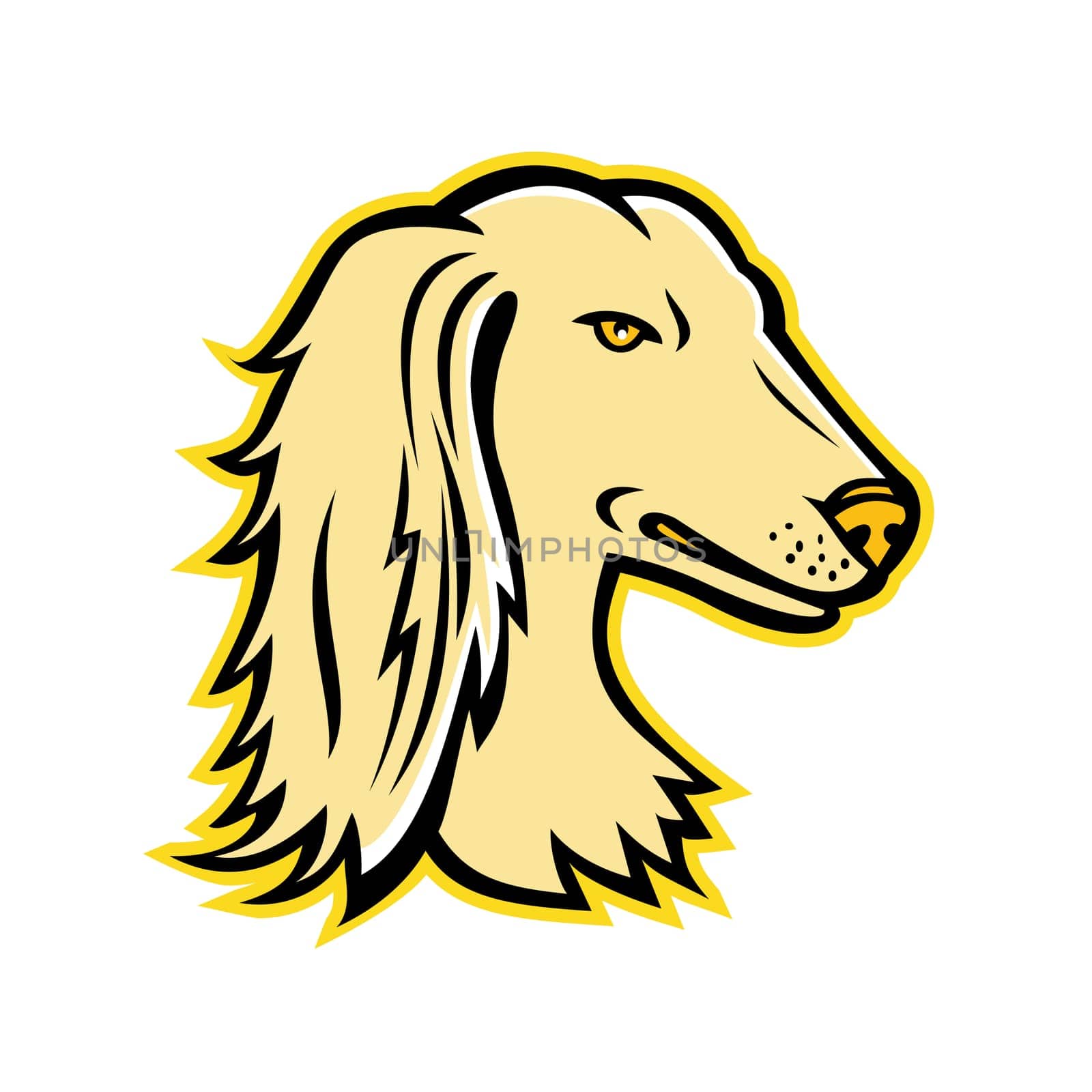 Mascot icon illustration of head of a Saluki, also known as Persian Greyhound or Tazi, a dog breed classed as a sighthound on isolated background in retro style.