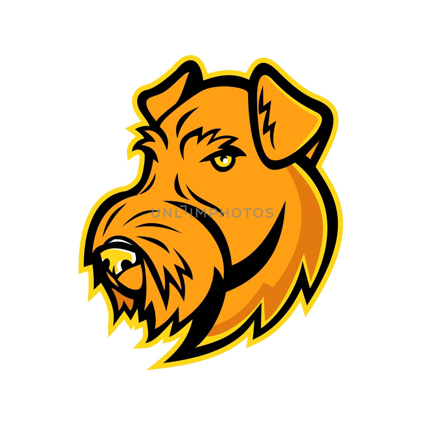 Mascot icon illustration of head of an Airedale Terrier, also called Bingley Terrier and Waterside Terrier, a dog breed of the terrier type, viewed from front on isolated background in retro style.