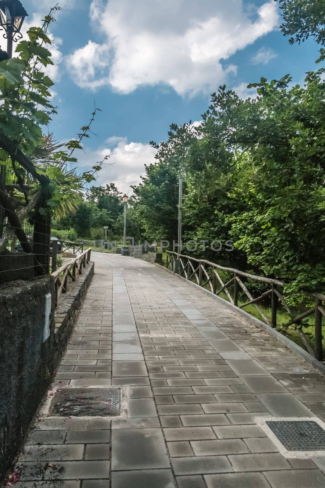 Tree-lined Pedestrian Walkway with fence