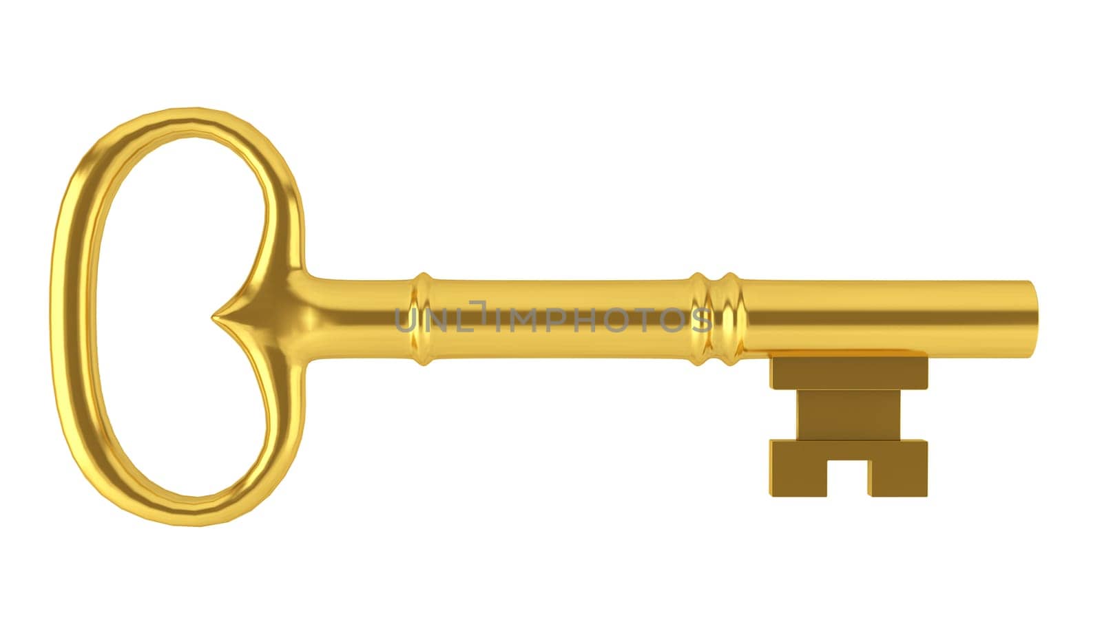 Long key. 3d illustration on white background