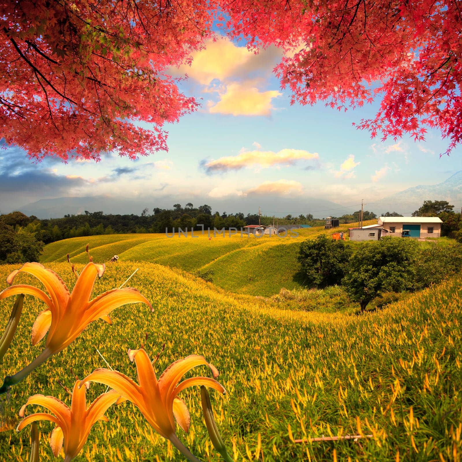 Image of the sacred mountain of Fuji in the background of blue sky at Japan for adv or others purpose use