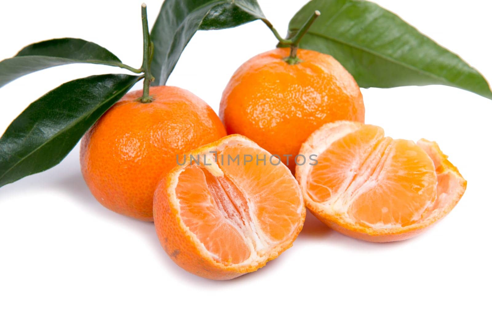mandarin oranges on the white background