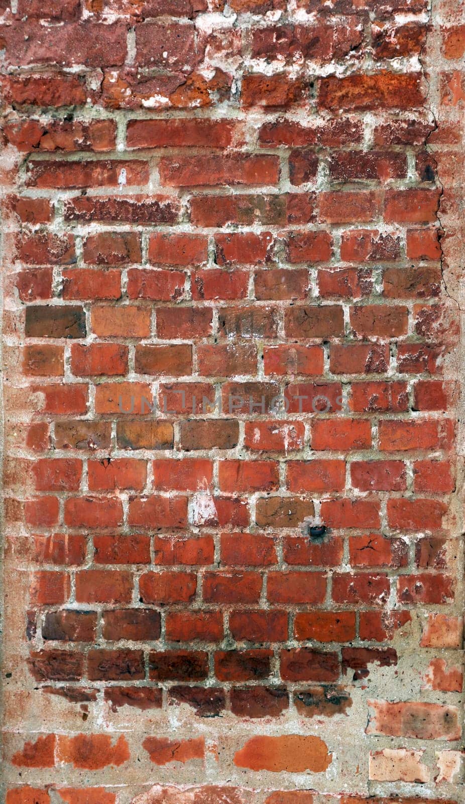 Red old brick wall photographed close up