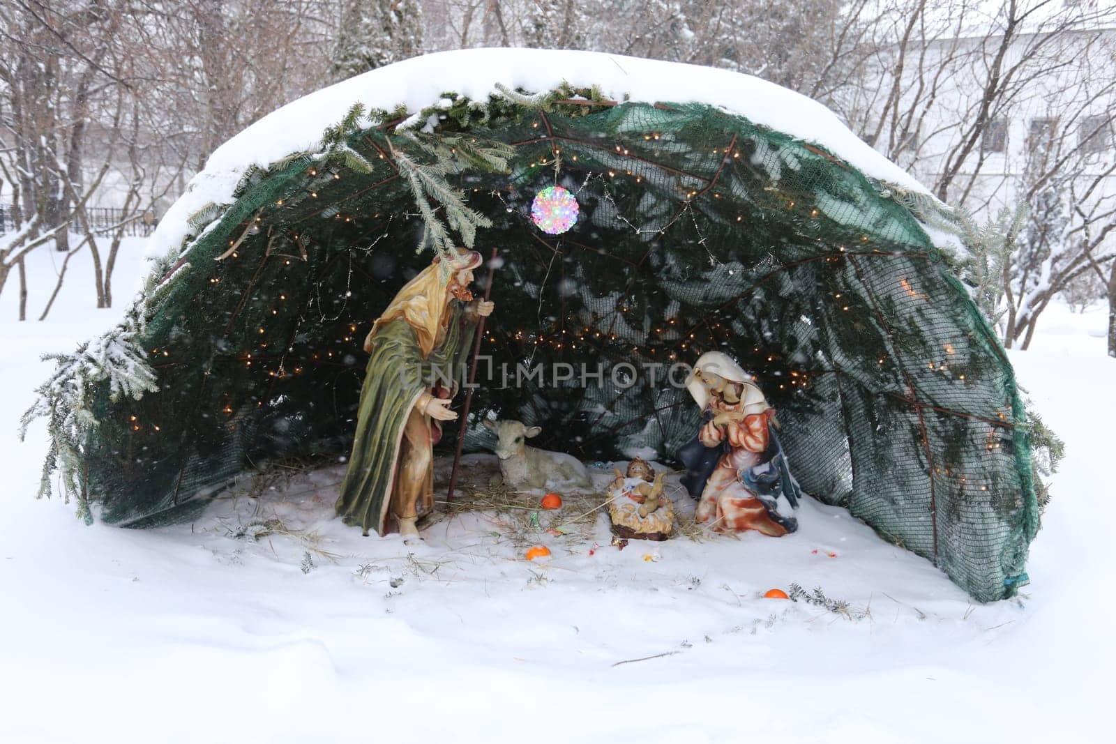 Biblical themes in the snow under fir branches
