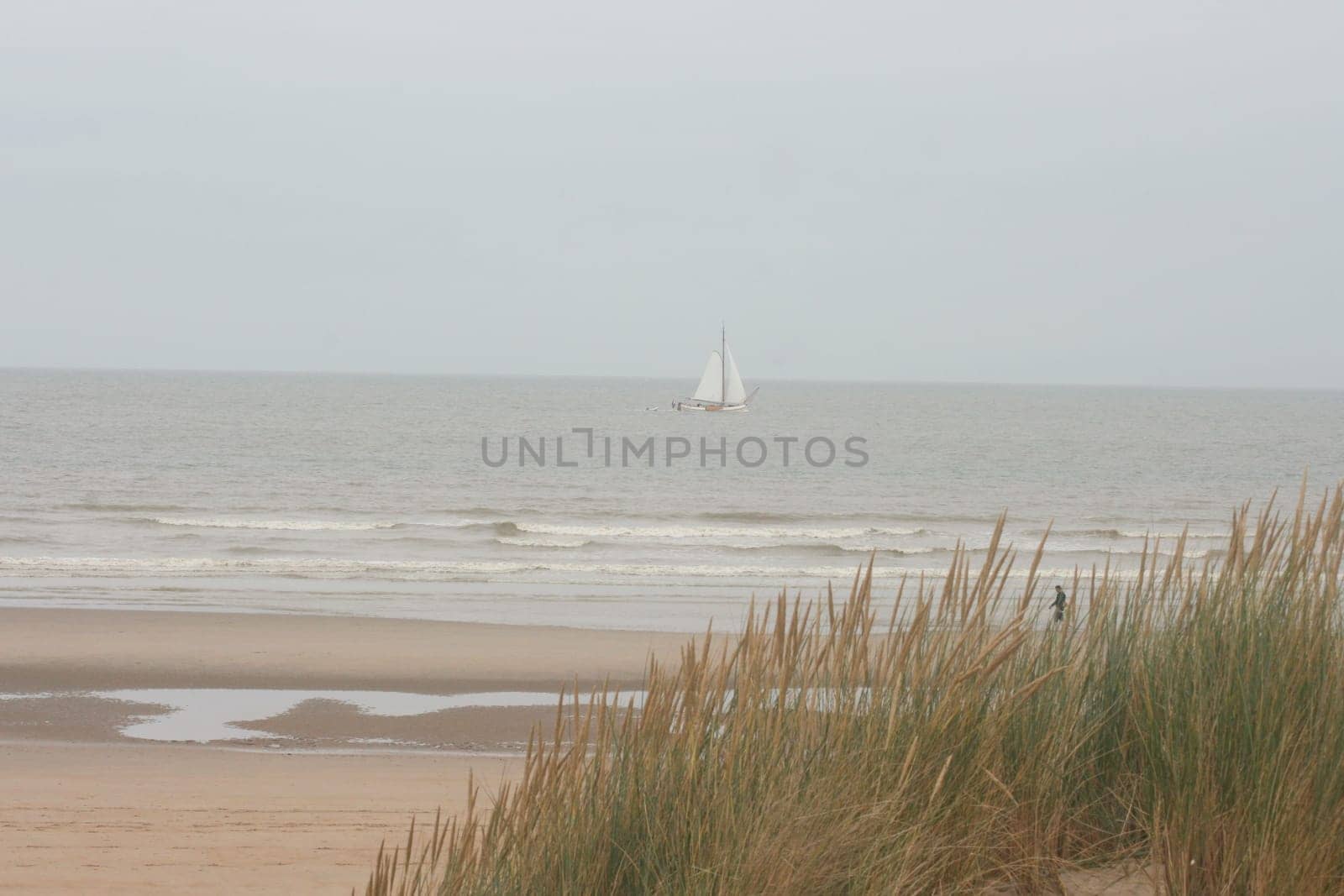 An dune,overgrown with beach grass, the ocean in the background