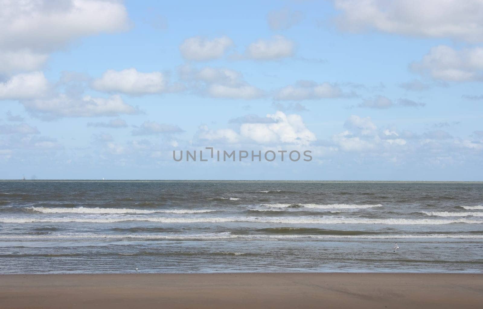 Waves with white crests inundate the sandy beach