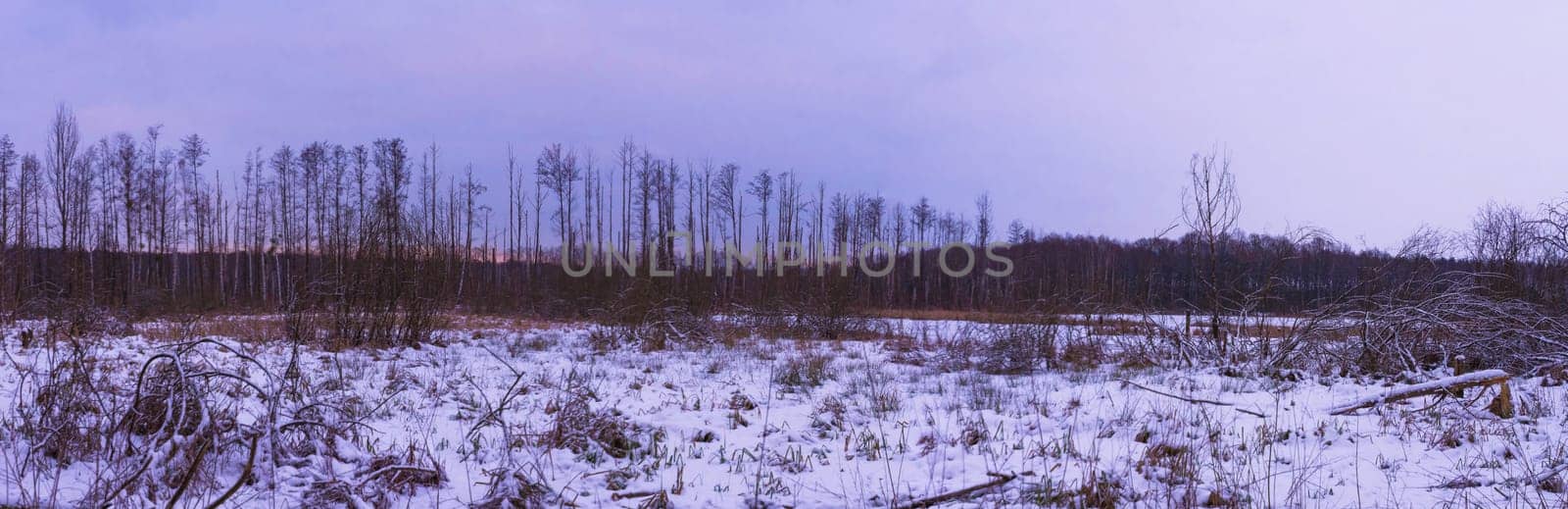Sunset over swamp in Kampinos National Park in winter - Poland