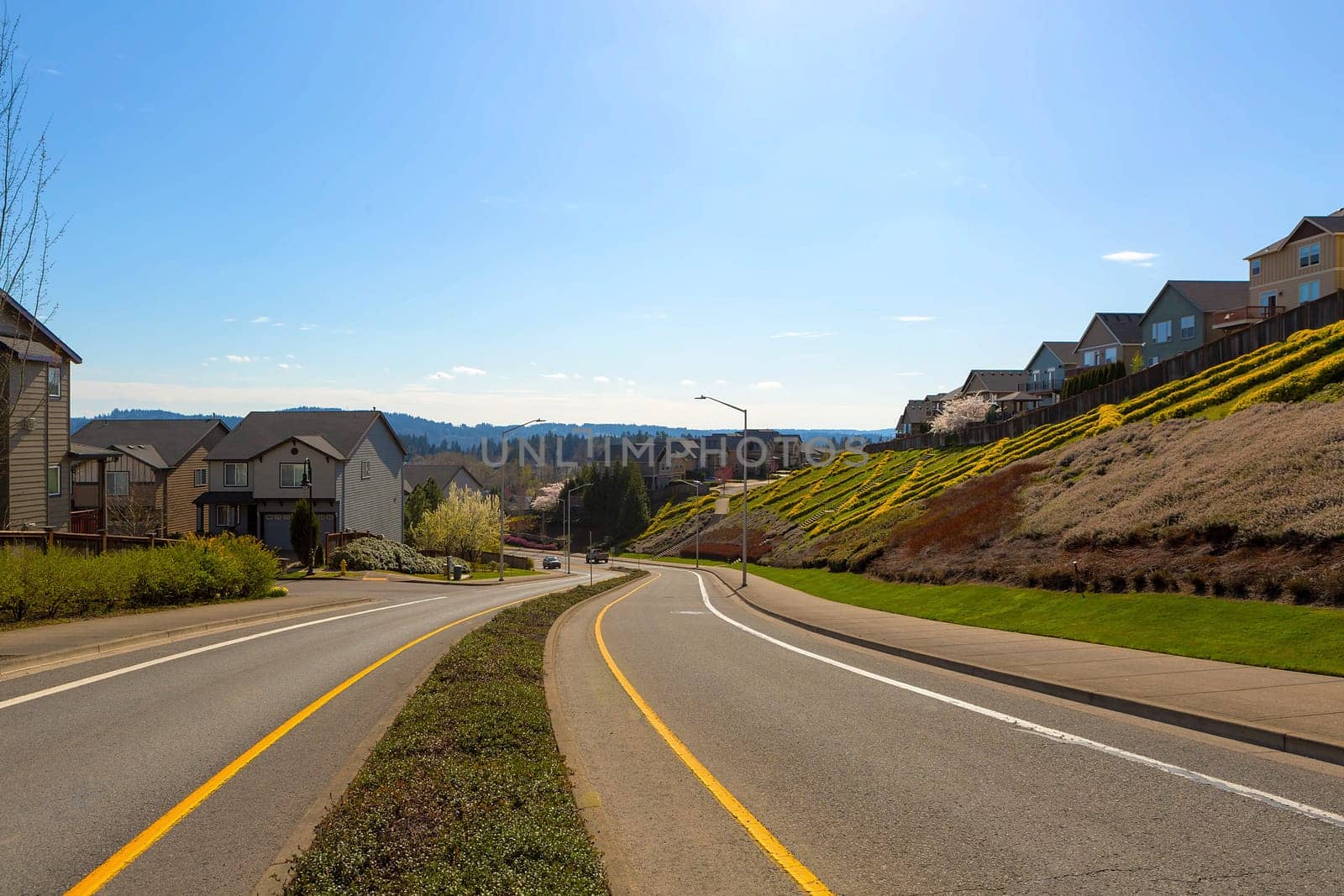 Neighborhood two way street in North American Suburban neighborhood on a blue sky sunny day