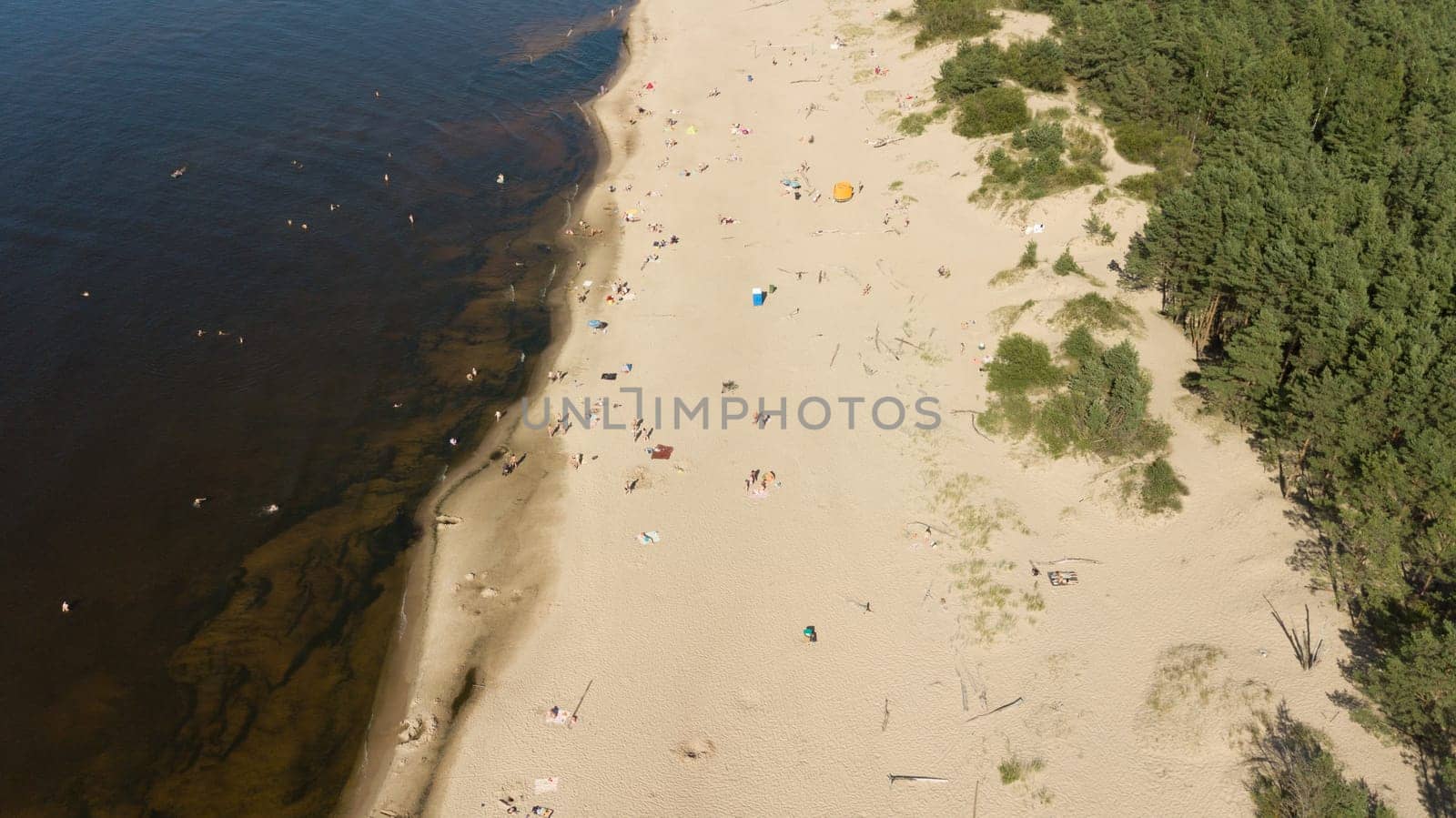 Gauja river Latvia drain into Baltic Sea aerial drone top view