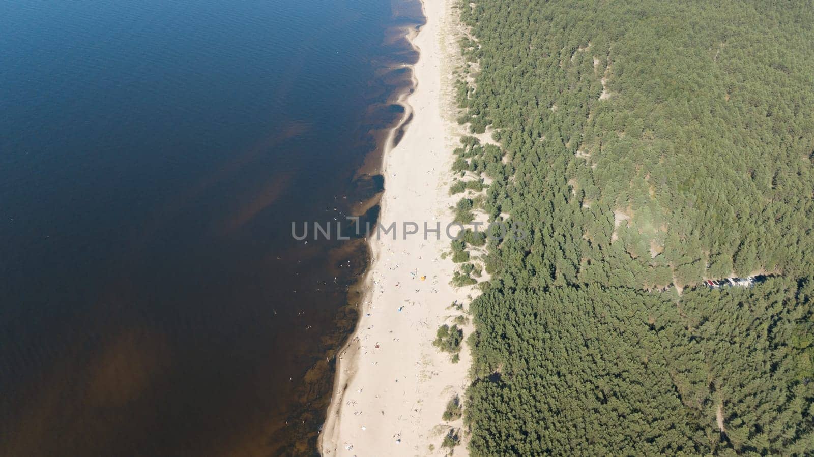 Gauja river Latvia drain into Baltic Sea aerial drone top view