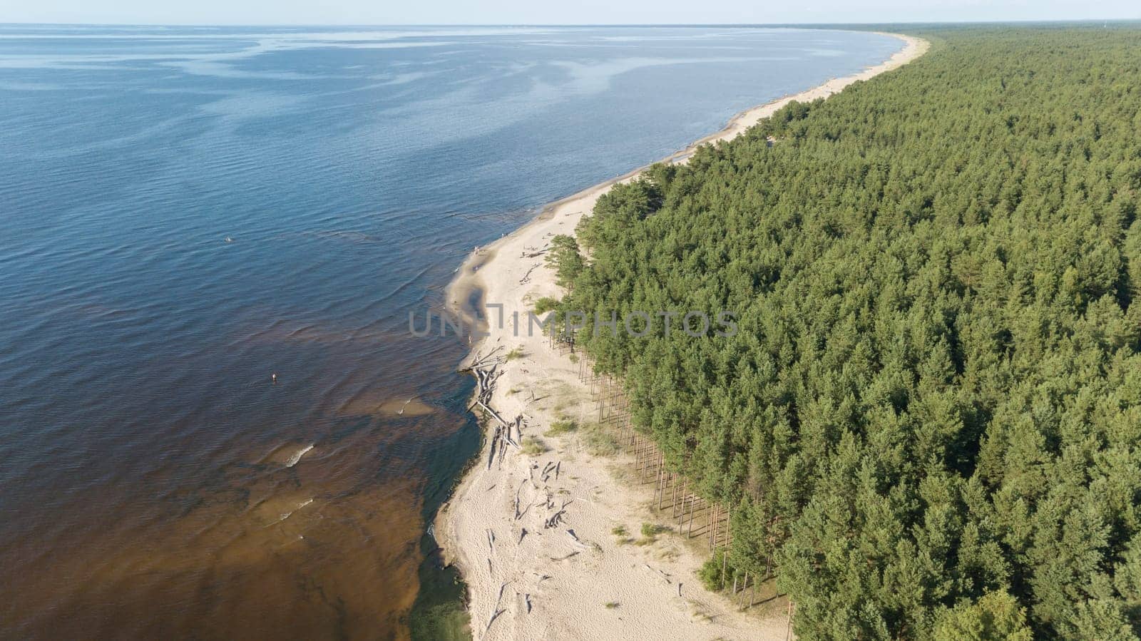 Gauja river Latvia drain into Baltic Sea aerial drone top view