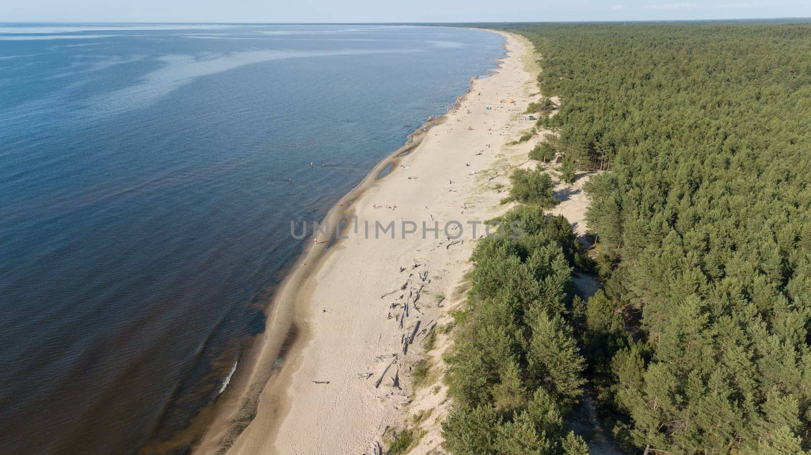 Gauja river Latvia drain into Baltic Sea aerial drone top view