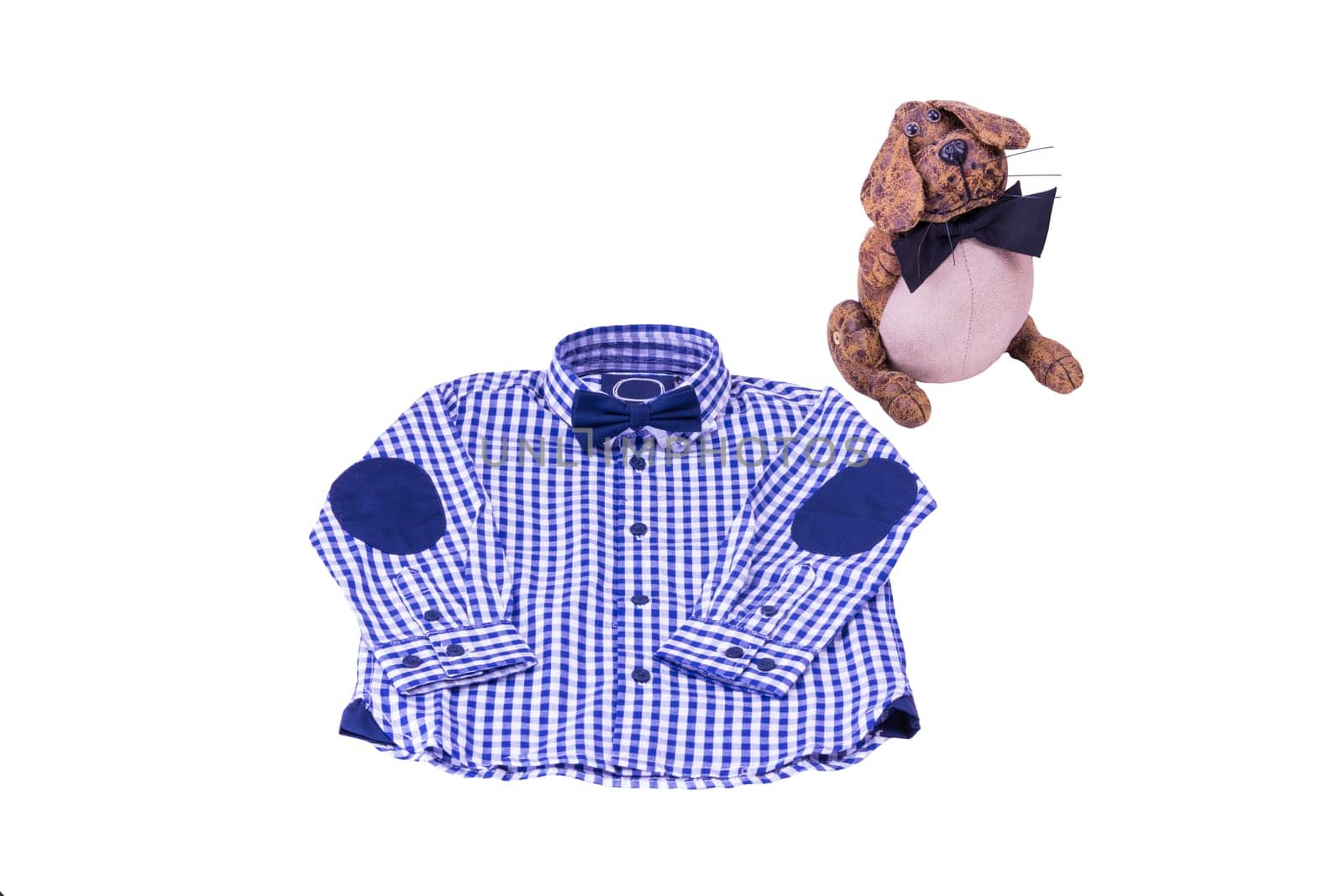 Blue white checkered kids shirt with bow tie and funny dog