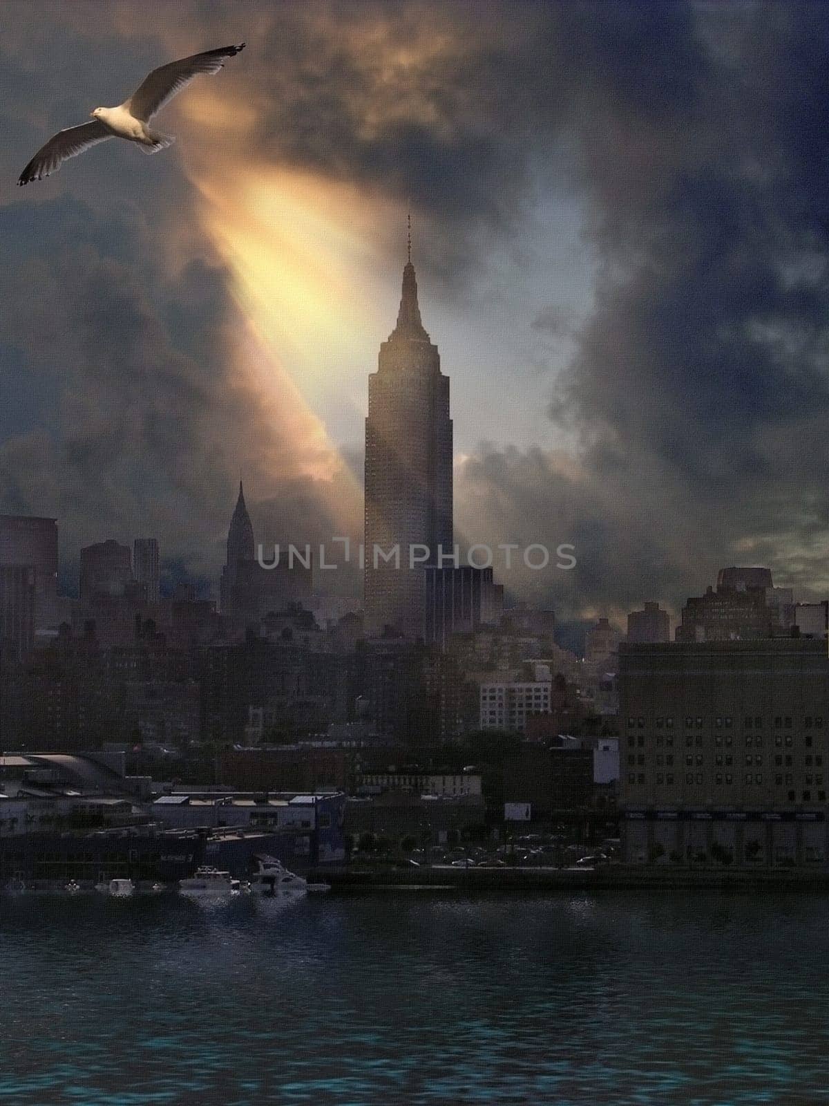 New York Empire State Building View