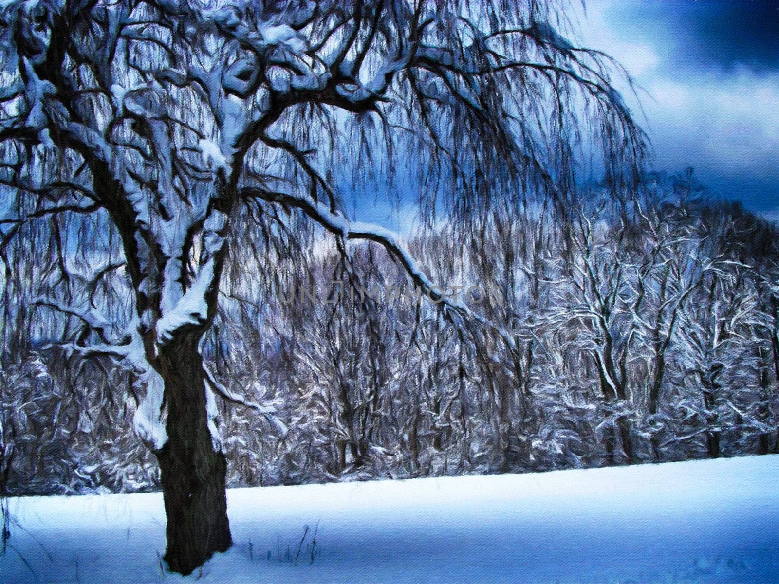 Trees with snow in winter park
