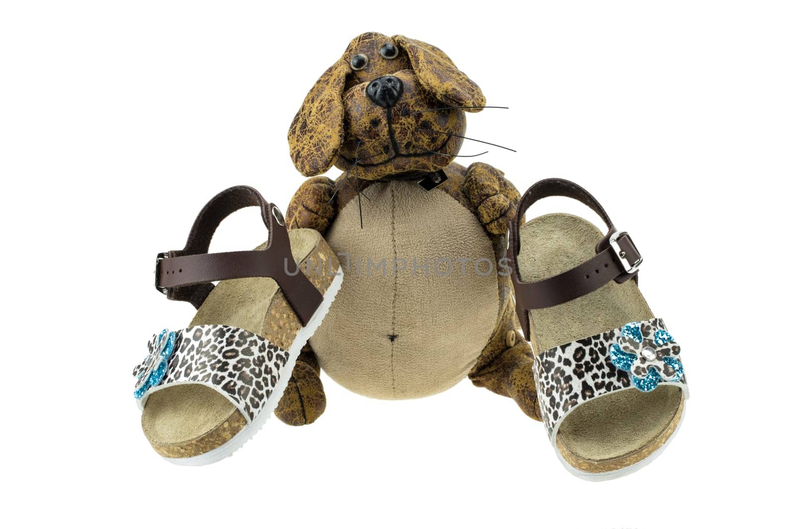 Girls sandals are decorated of  flower and studded with rhinestones. Shoes are  presented by funny dog. concept kids fashion. Isolated on white.