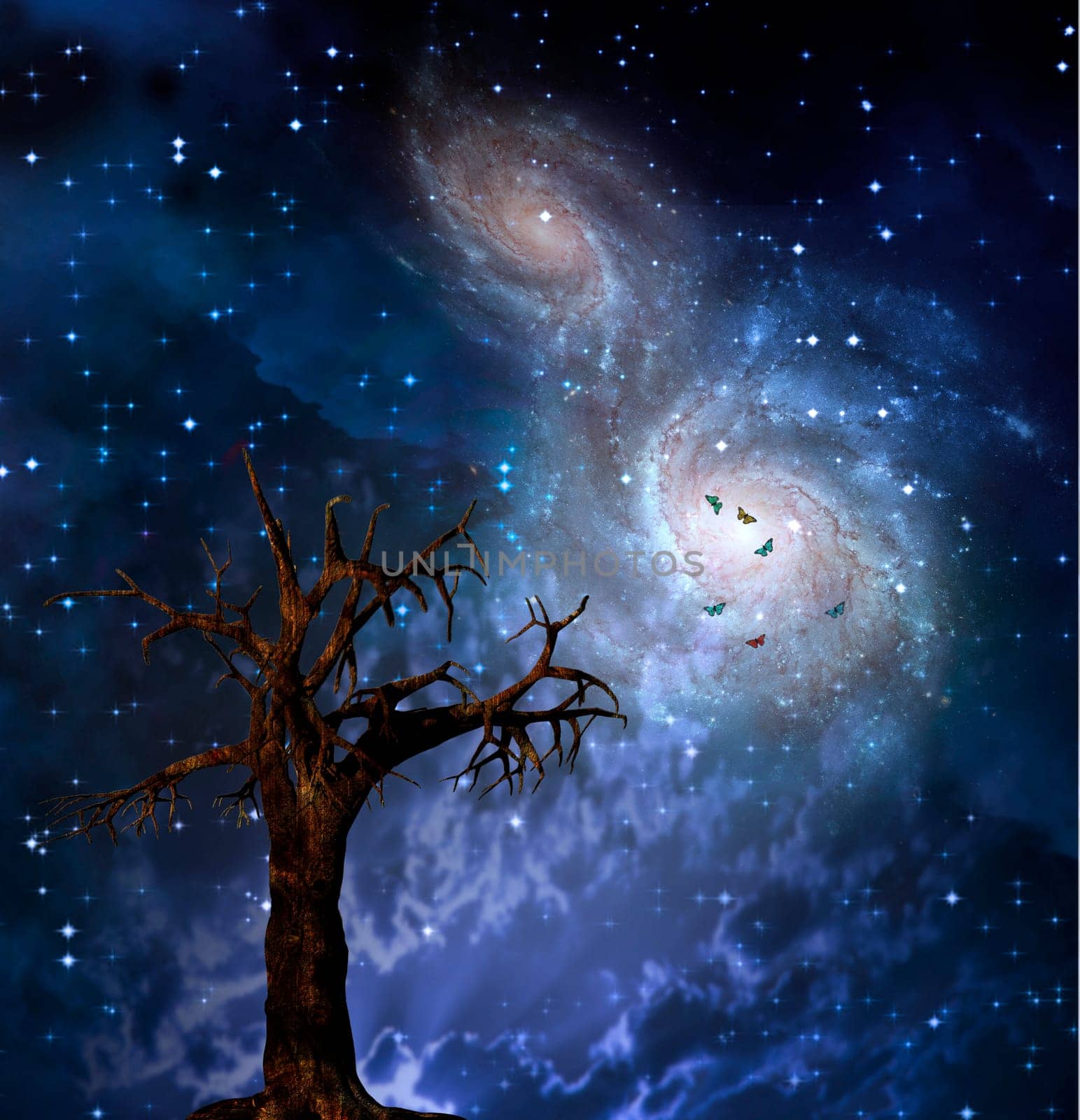 Old leafless tree. Merging galaxies in the sky