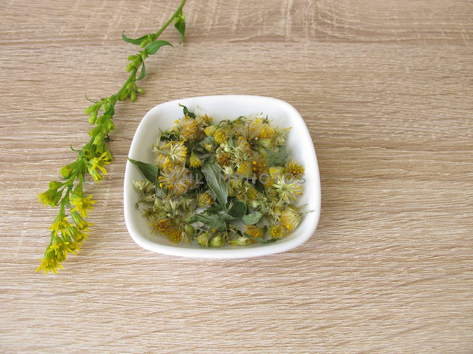 Dried real goldenrod in a bowl,Solidago virgaurea