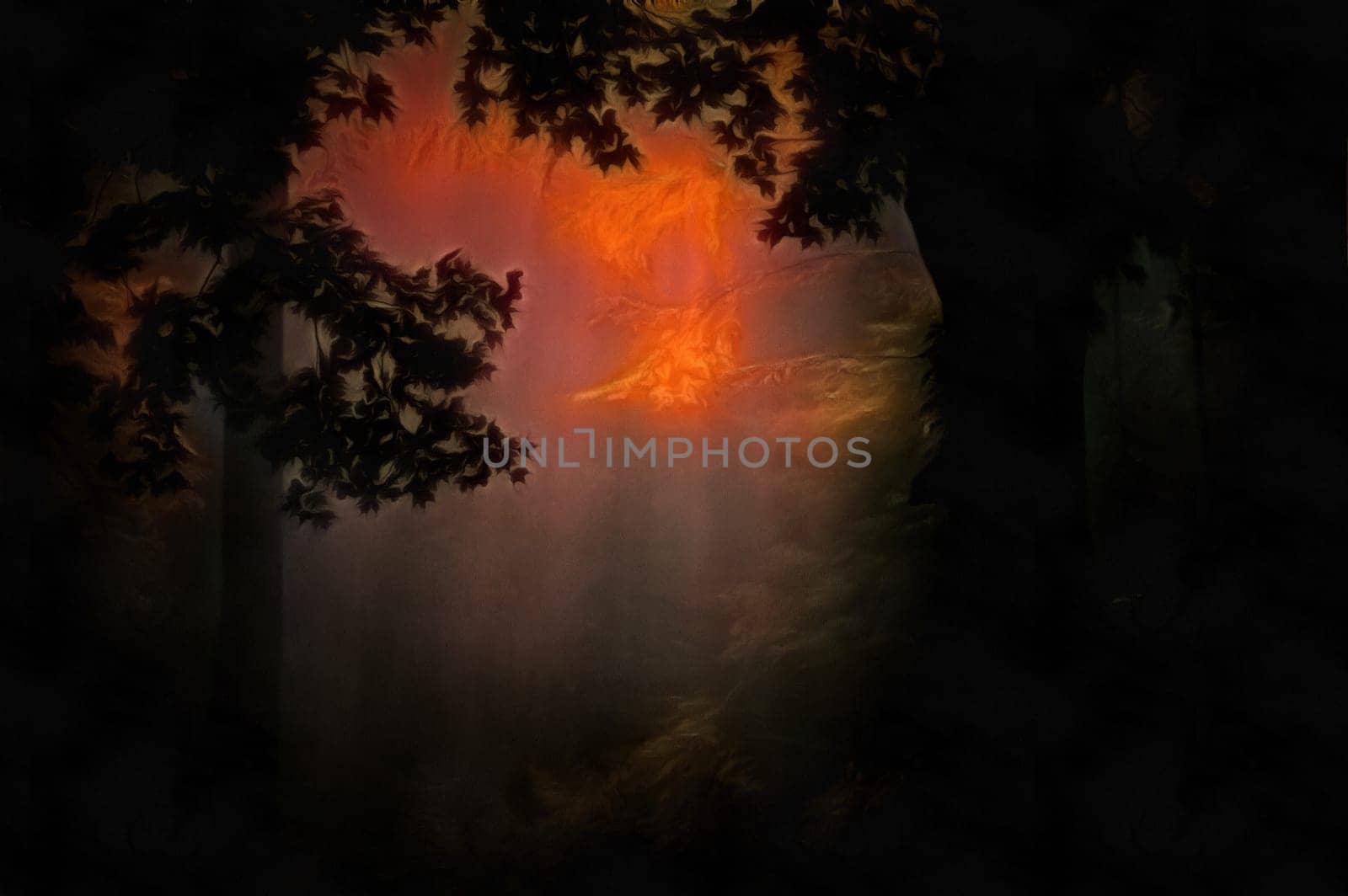 Forest dusk in vivid colors.