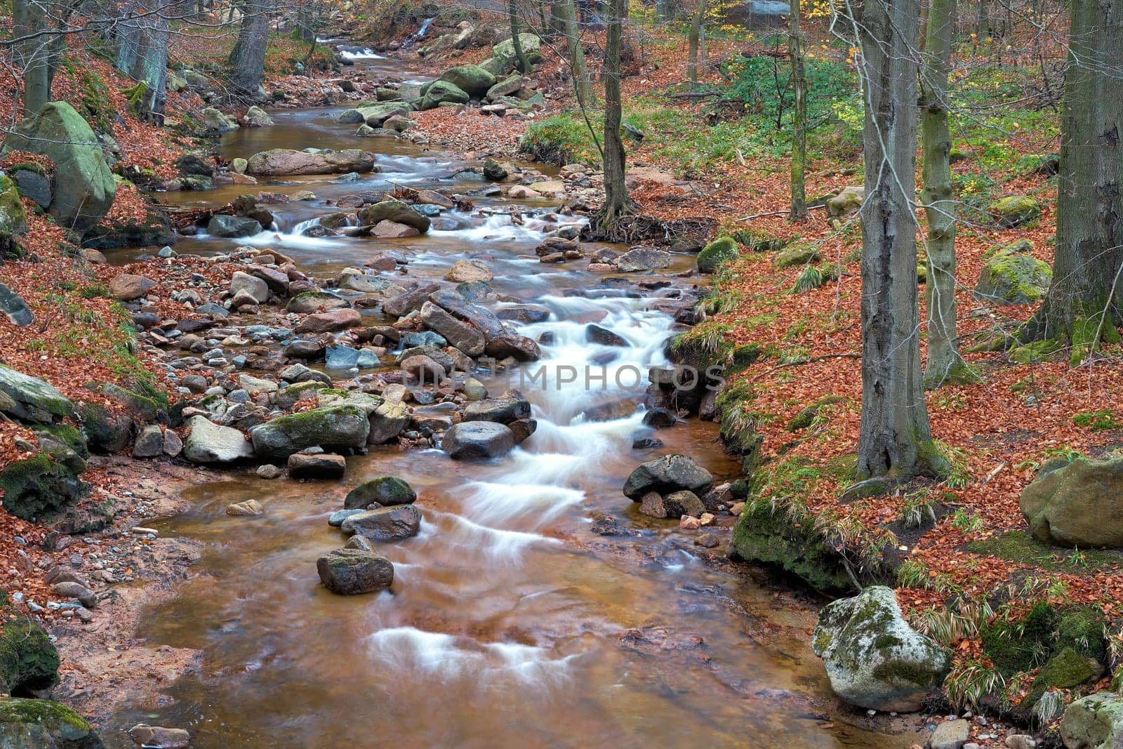 the river Ilse near Ilsenburg at the foot of the Brocken in the Harz National Park