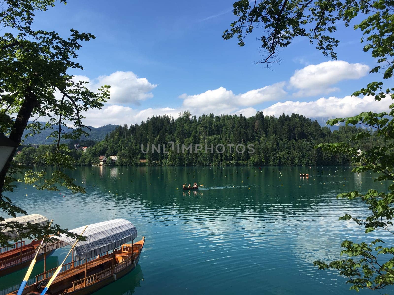 Tranquility of Lake Bled
