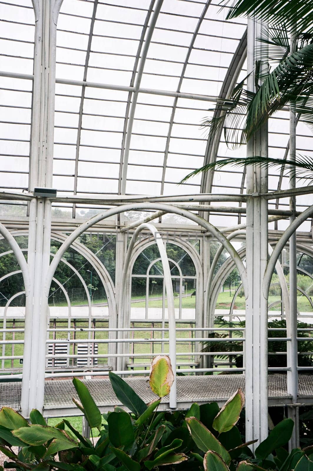 glass hall greenhouse Botanical garden Curitiba indoors structure architecture