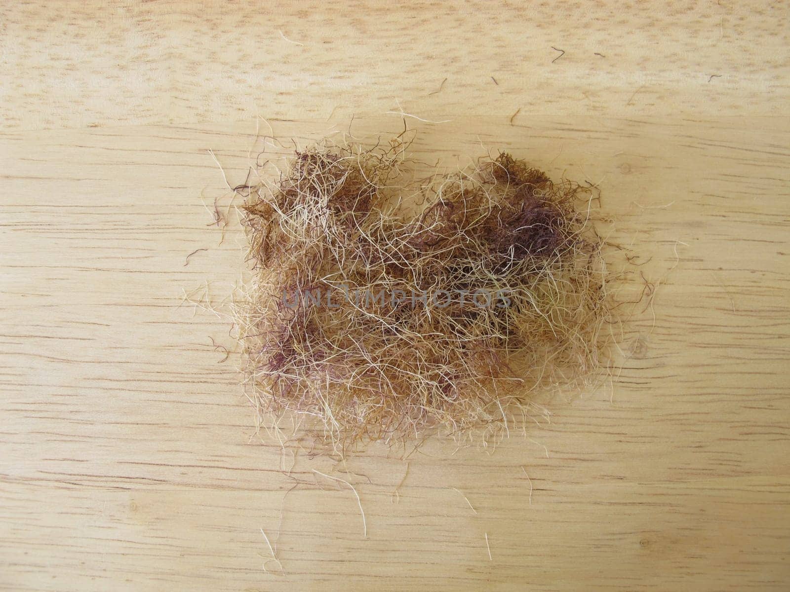 Dried,sliced corn beard,Maydis stigma