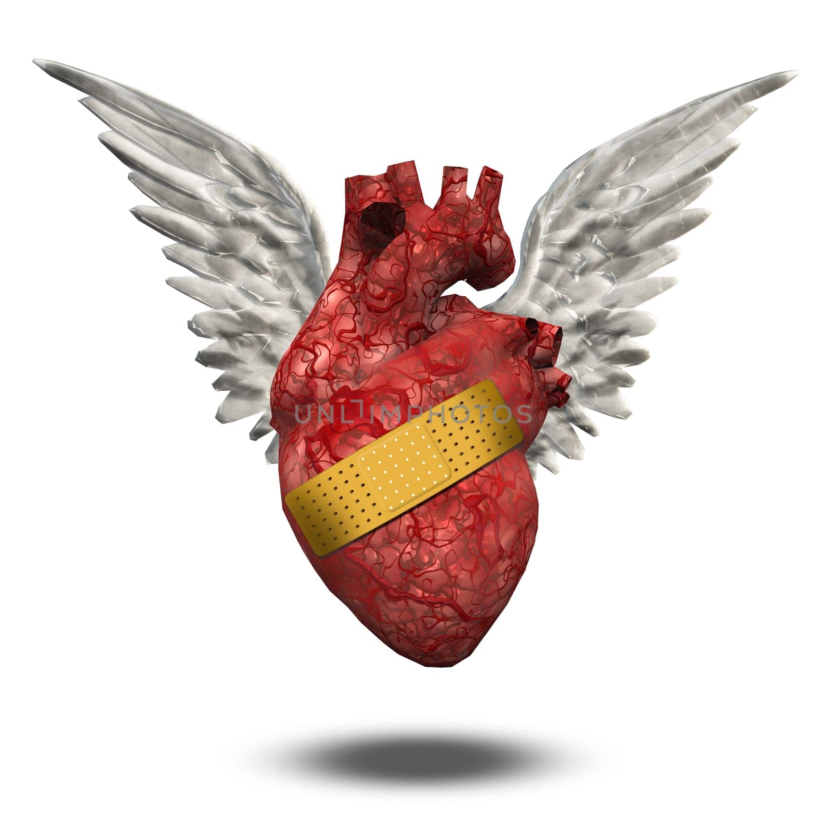Wounded heart free to fly