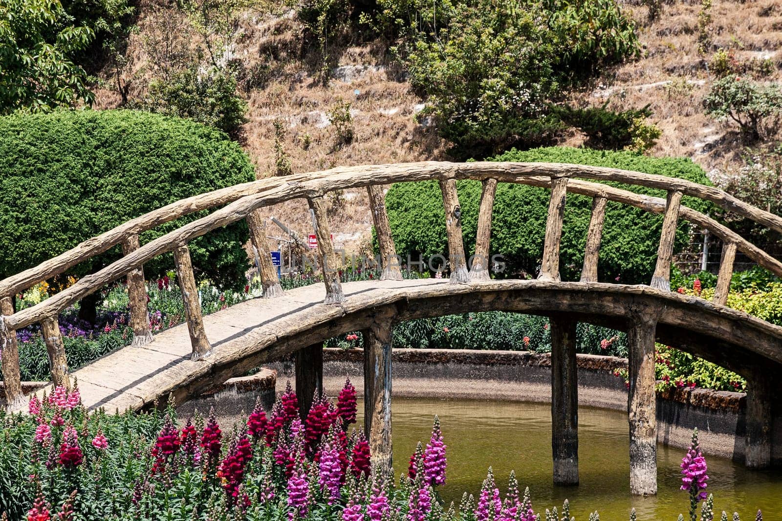 pond wooden bridge snapdragon flowers nature sunny