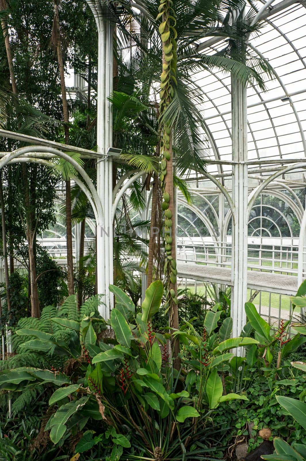 glass hall greenhouse Botanical garden park Curitiba indoors structure architecture