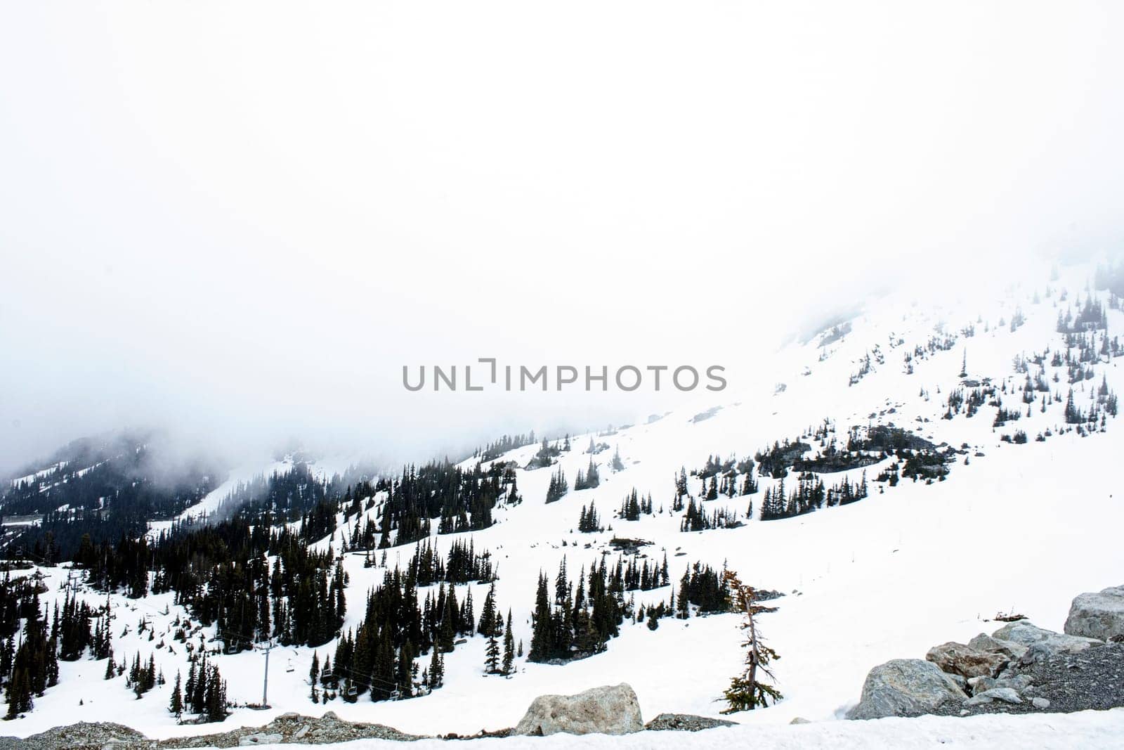 snow mountain mist trees hill cable car white