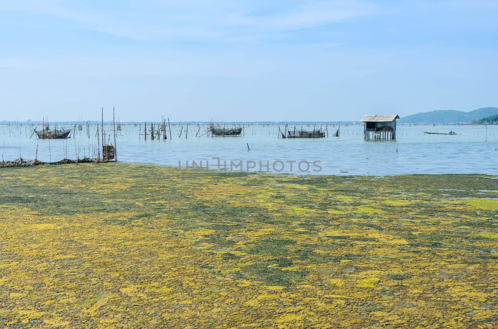 Algal bloom in a tropical ocean and marine fish farming, Thailand