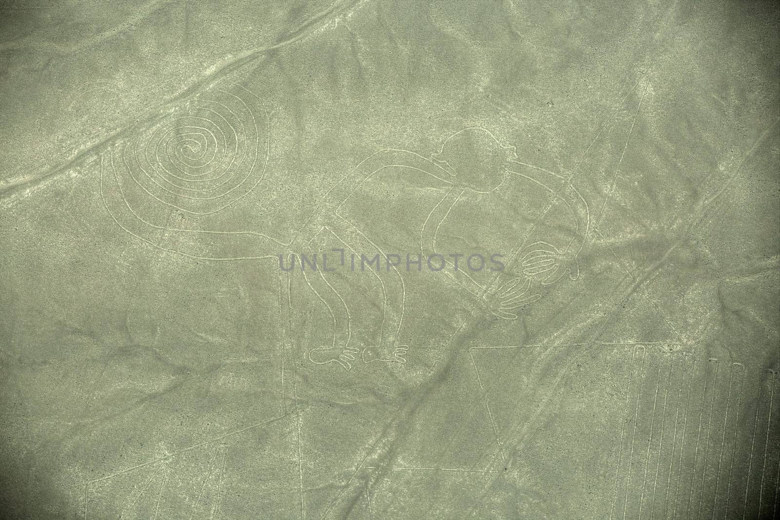 Nazca Lines - Monkey - Aerial View from a Plane
