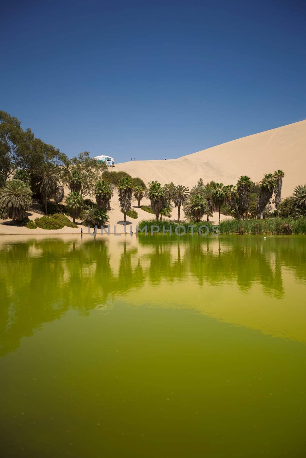 Oasis surrounded by sand dunes near Ica Peru