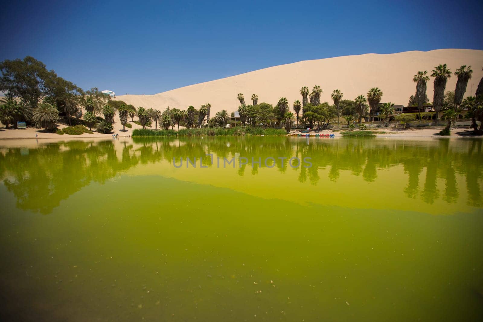 Oasis surrounded by sand dunes near Ica Peru