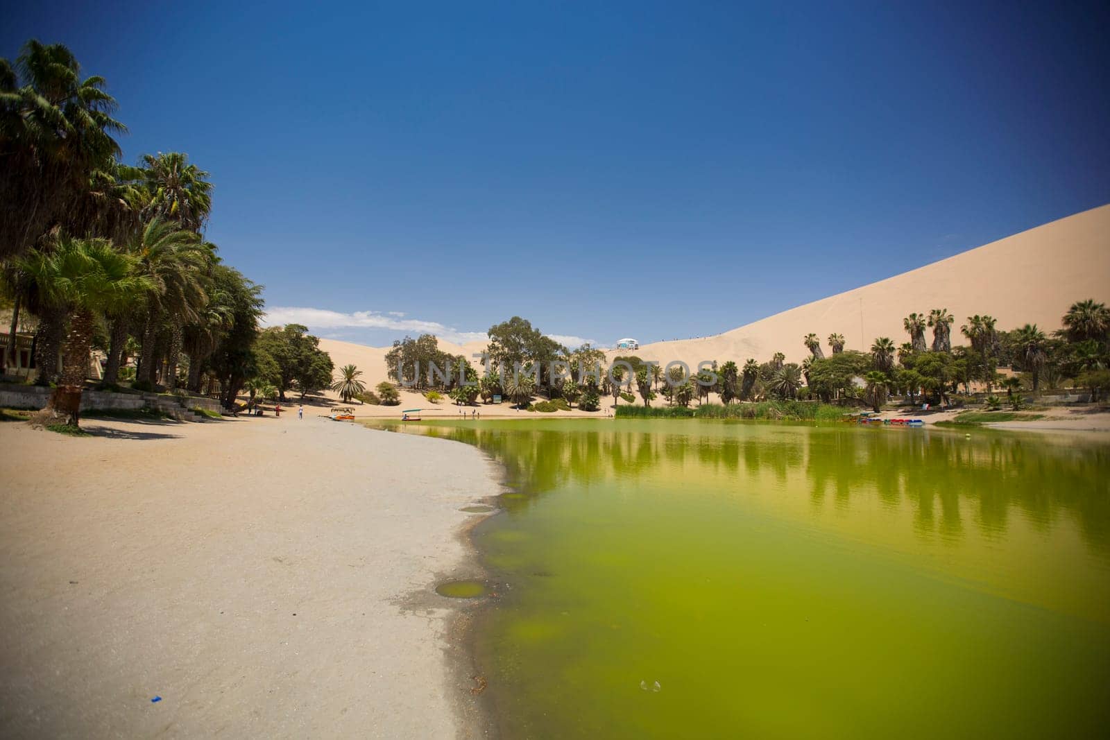 Oasis surrounded by sand dunes near Ica Peru