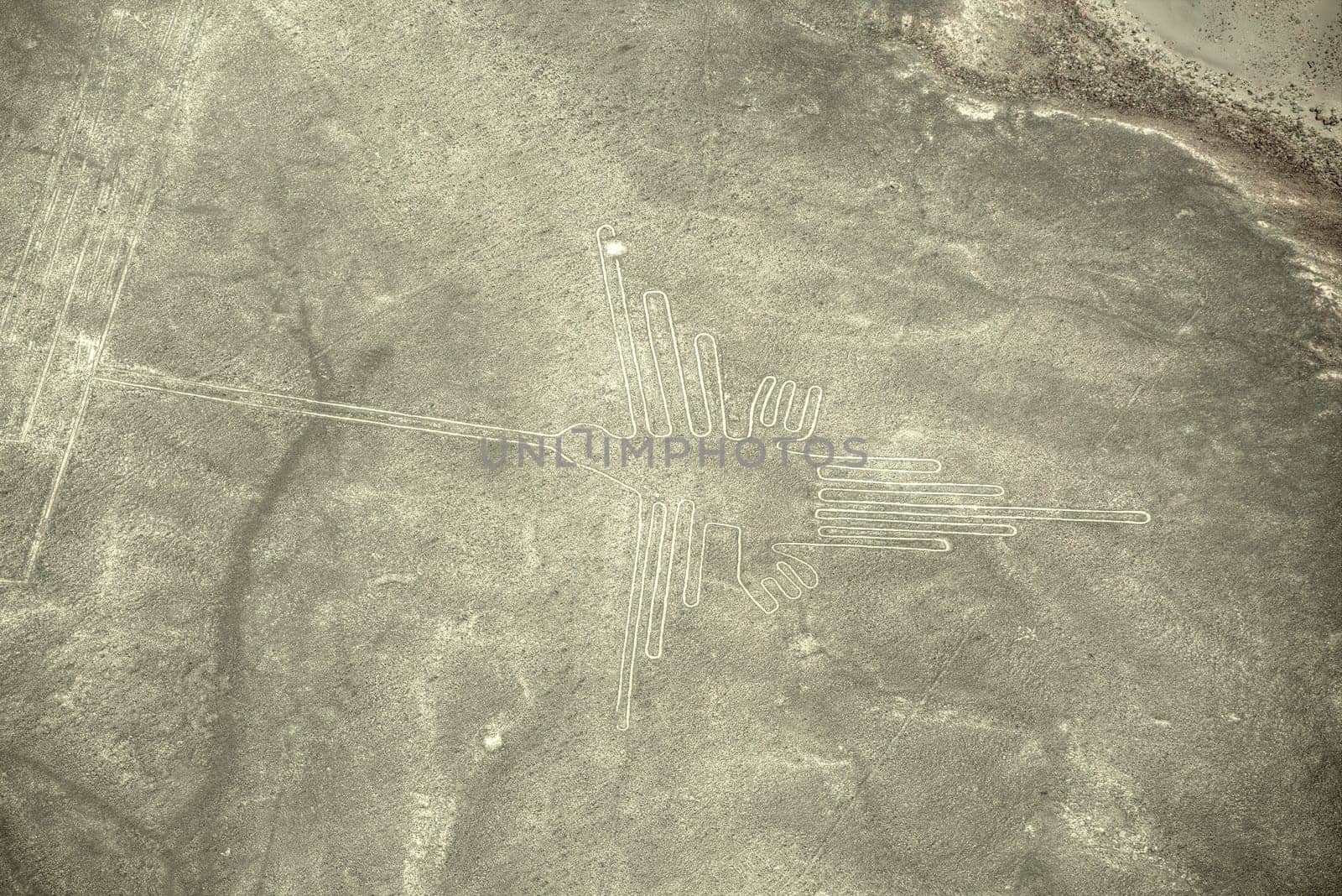 Aerial view of geoglyphs near Nazca - famous Nazca Lines, Peru. In the center, Hummingbird figure is present
