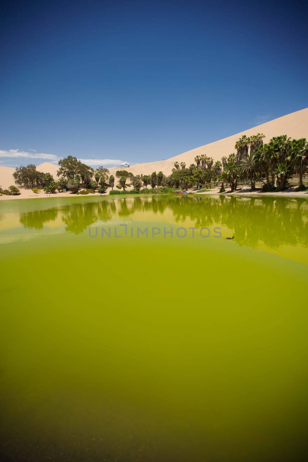 Oasis surrounded by sand dunes near Ica Peru