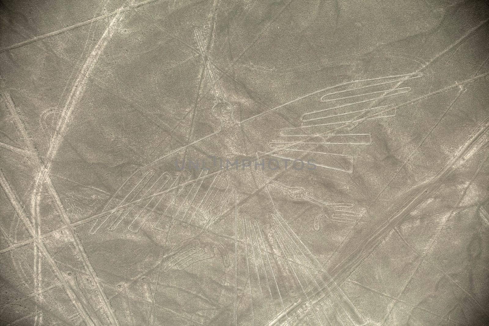 Unesco Heritage: Lines and Geoglyphs of Nazca, Peru - Condor