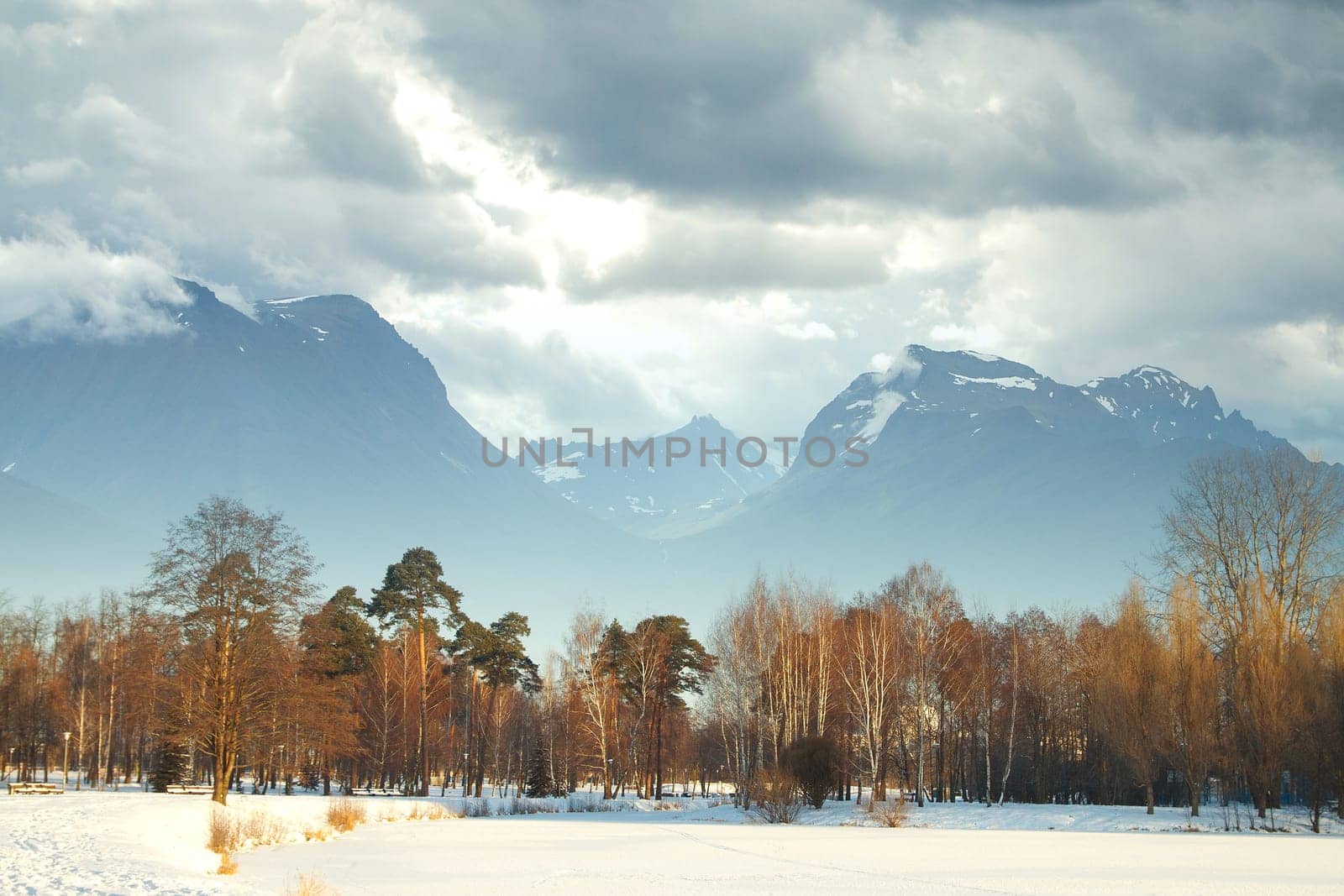 winter landscape forest mountains in the background