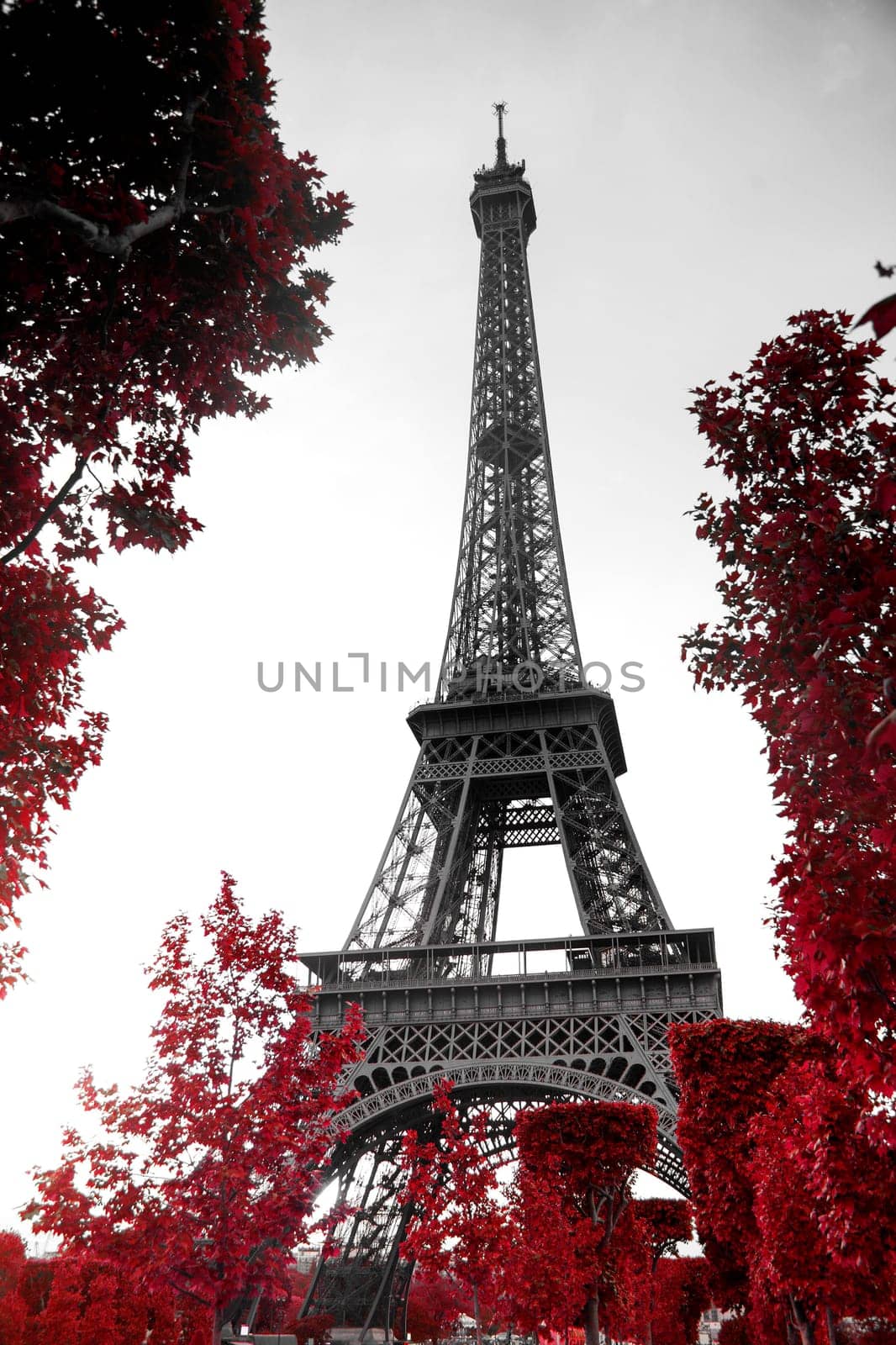 View of Eiffel tower in monochrome style with selective colorization