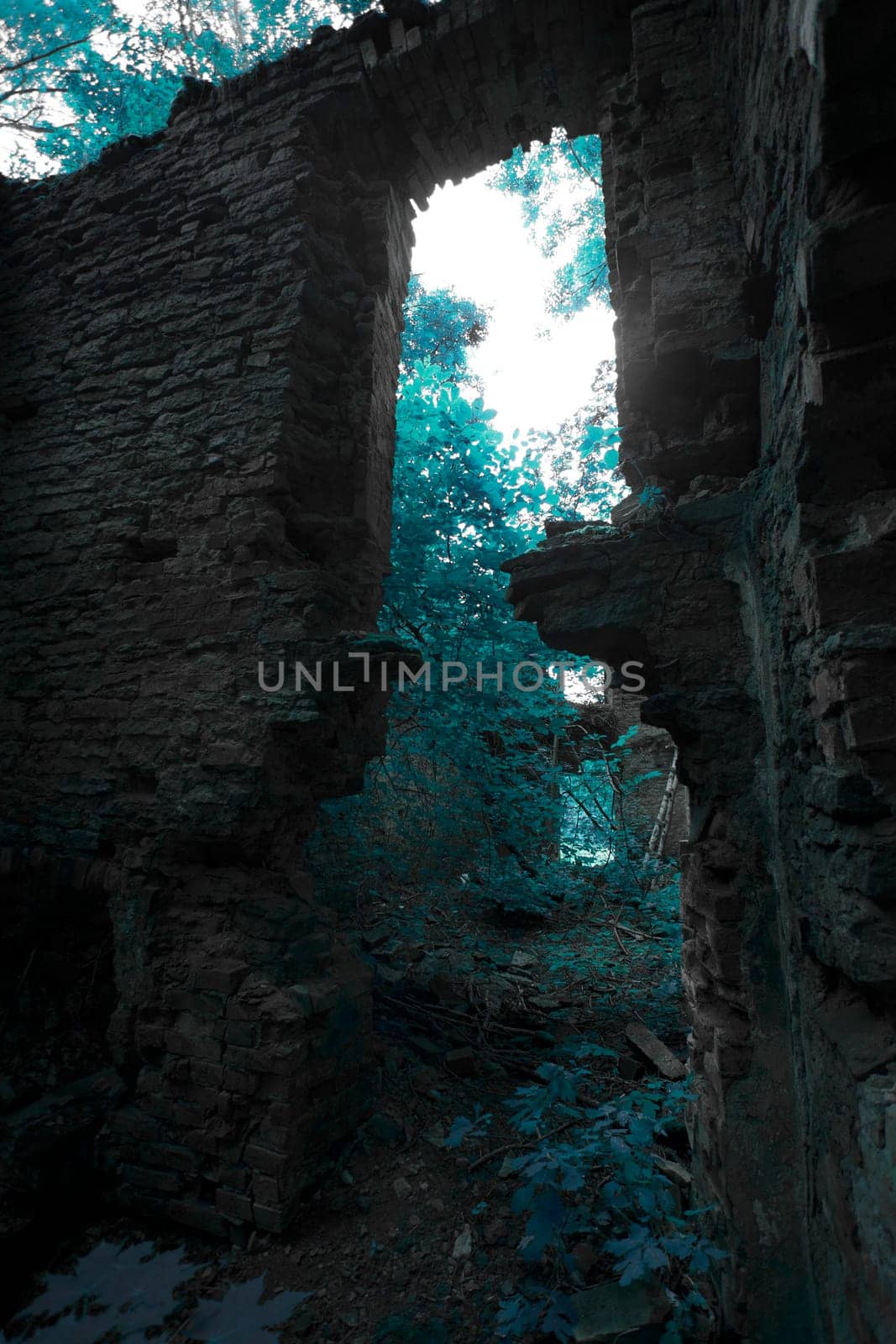 ruins of an old house in the woods more often