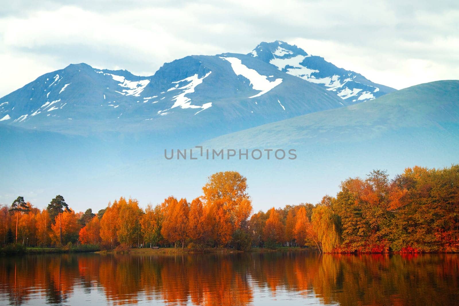 Trees reflected in a lake in the background of the mountains.