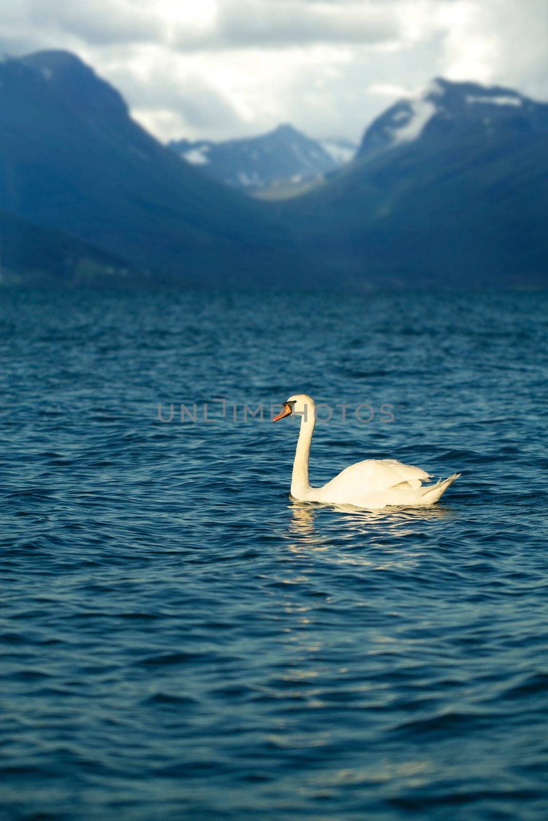 natural landscape at geirangerfjord . Norway mountain