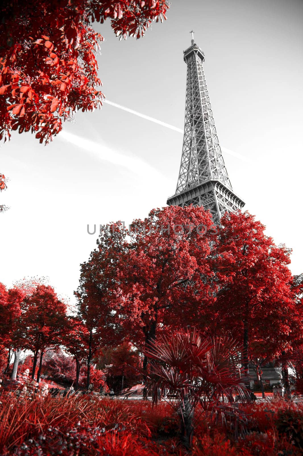 View of Eiffel tower in monochrome style with selective colorization