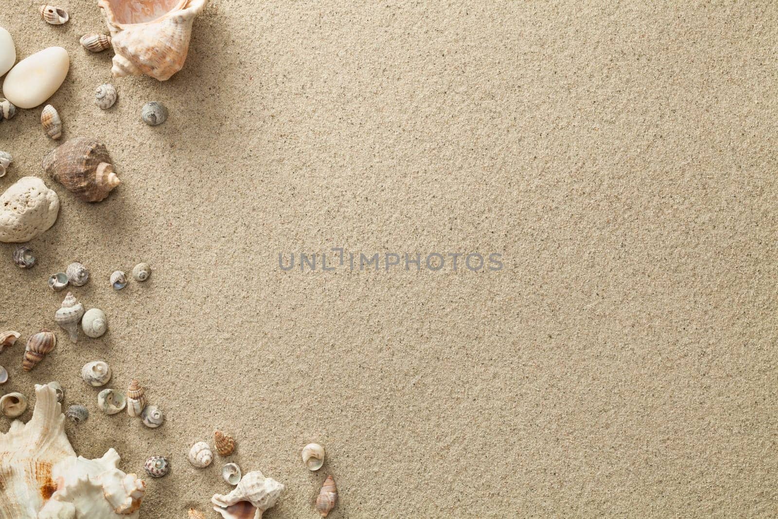 sandy beach background with shells. copy space. top view