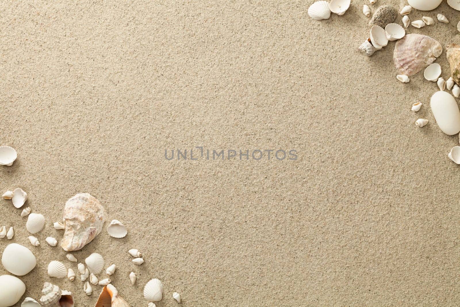 sandy beach background with shells and stones. copy space. top view