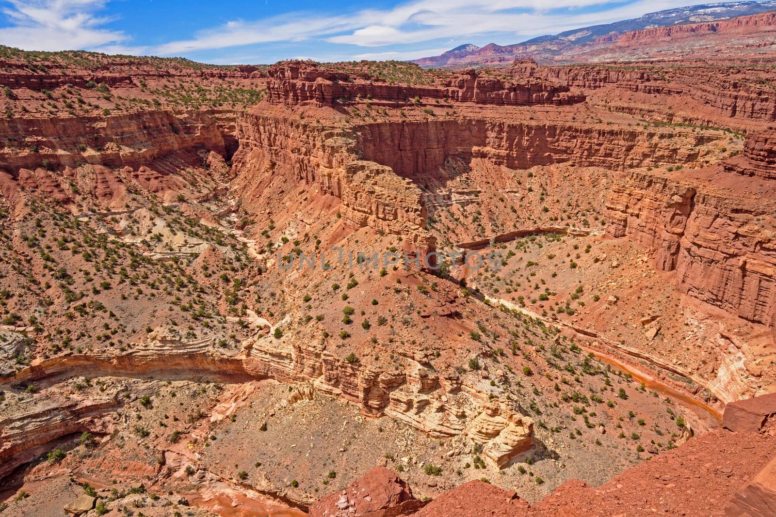 Horseshoe Bend in a Desert River Canyon in Capitaol Reef National Park in Utah